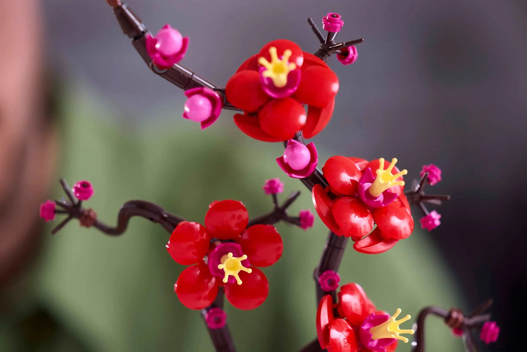 10369_Lifestyle_Build_03.webp