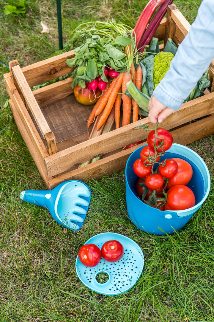 173267-Bucki-Ocean-8.jlkvzn.jpg