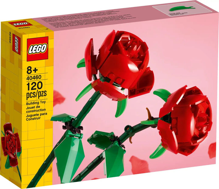 40460_box1.webp