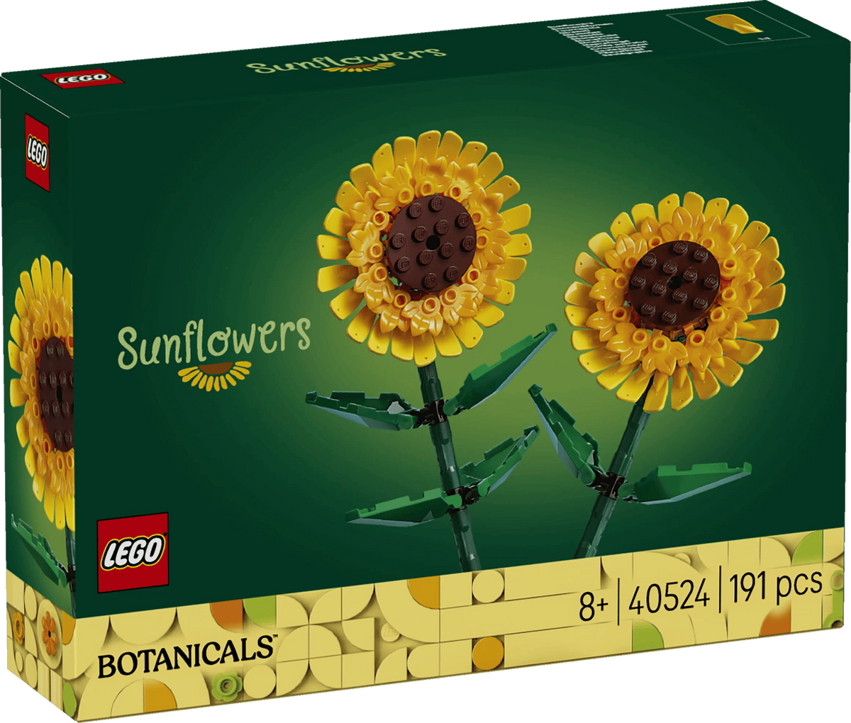 40524_Box1_v110.jpg