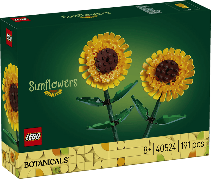 40524_Box1_v110.jpg