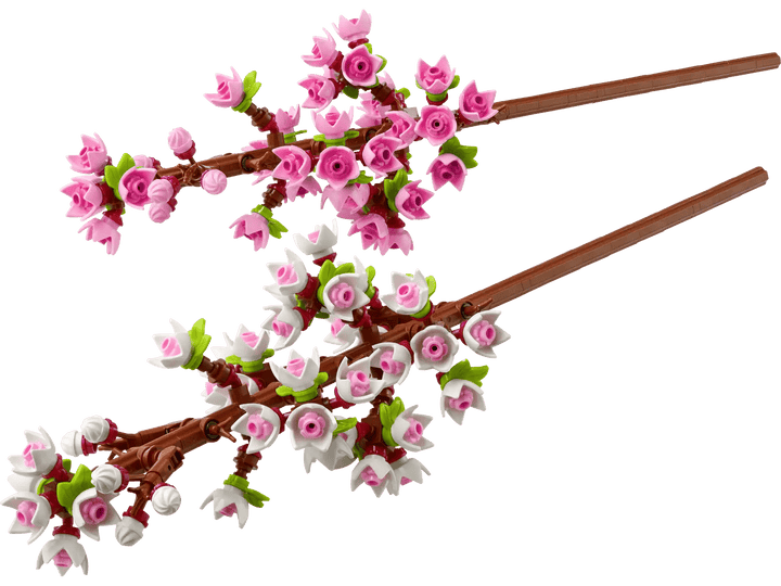 40725.webp