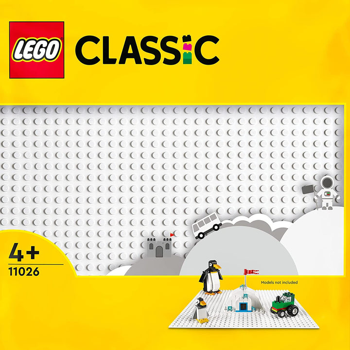 516772205021.jpg