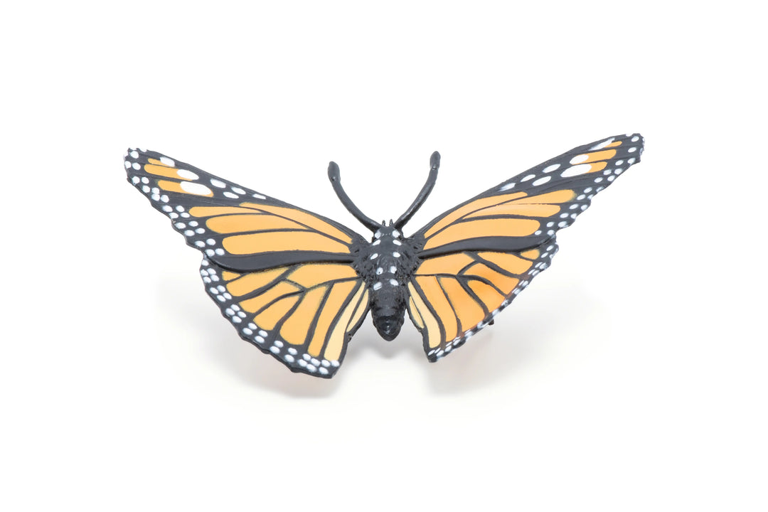 575641667731.jpg
