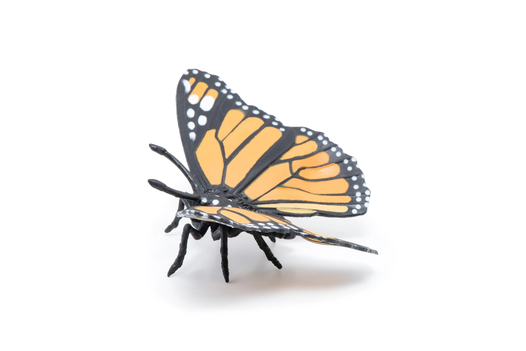575651667734.jpg
