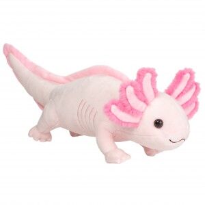 Axolotl.2sn1vq.jpg