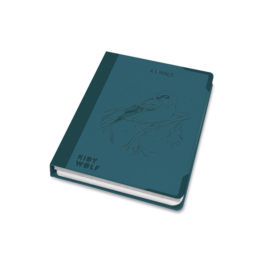 KIDYDRAW_PAD8_ANI_A_01.png