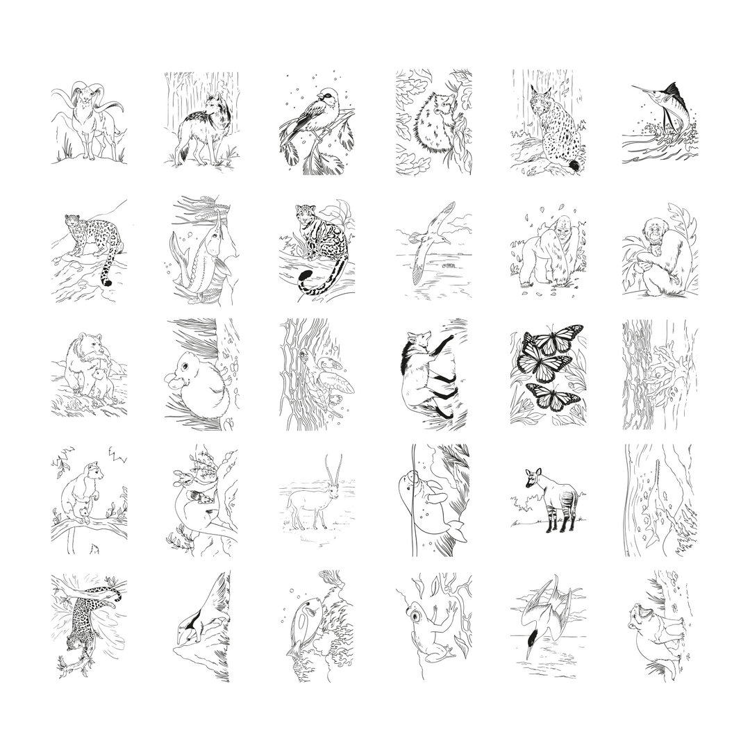 KIDYDRAW_PAD8_ANI_GRAPH_01.png