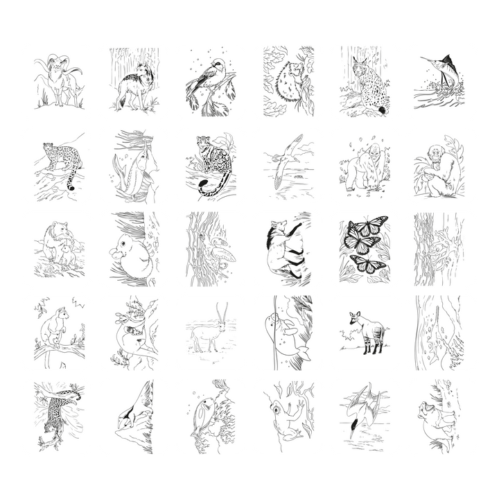 KIDYDRAW_PAD8_ANI_GRAPH_01.png
