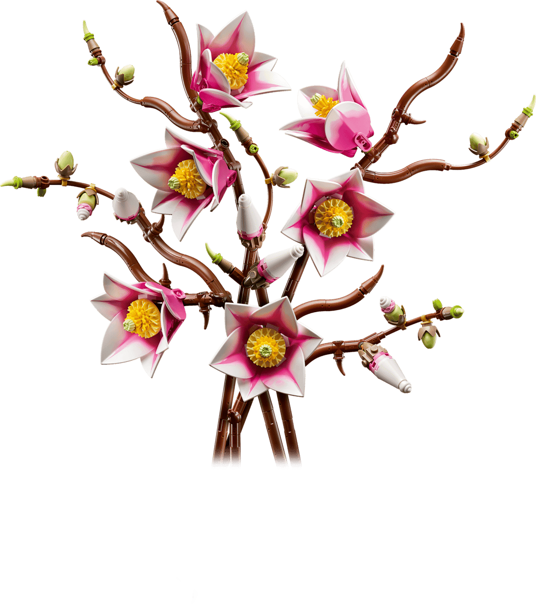 Magnolia1.png