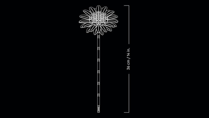 Tournesol3.jpg