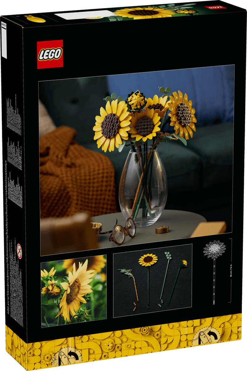 Tournesol4.png