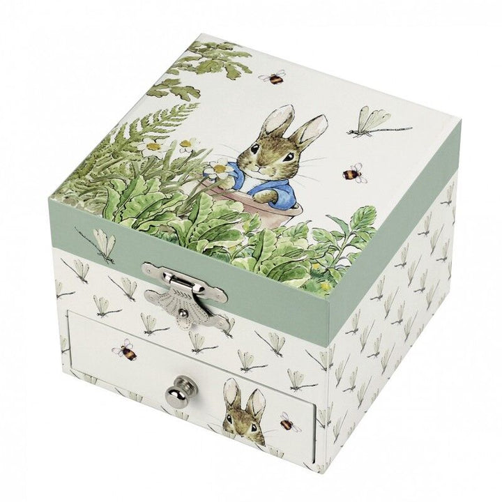 boite-a-musique-cube-peter-rabbit-libellule.jpg