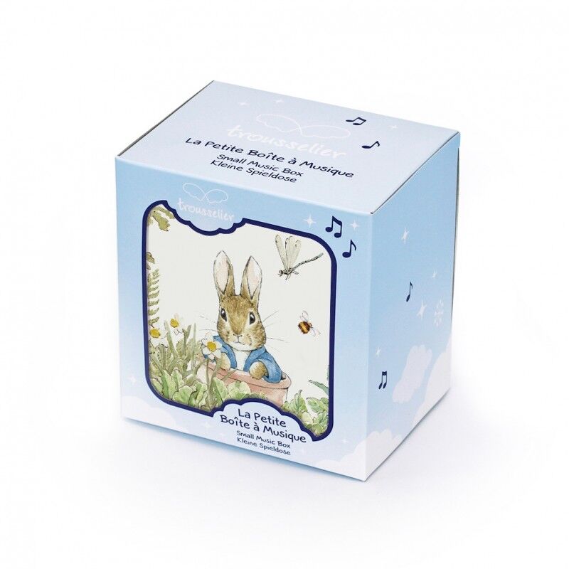 boite-a-musique-cube-peter-rabbit-libellule4.jpg