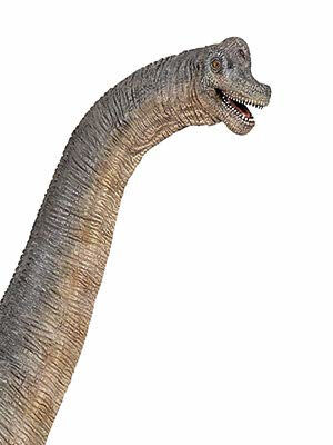 brachiosaure-55030-a.jpg