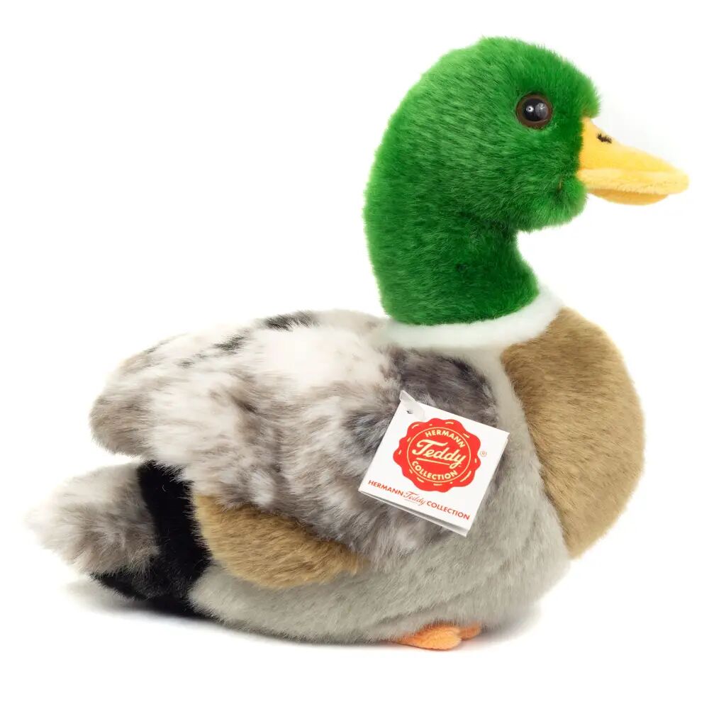 canard.webp