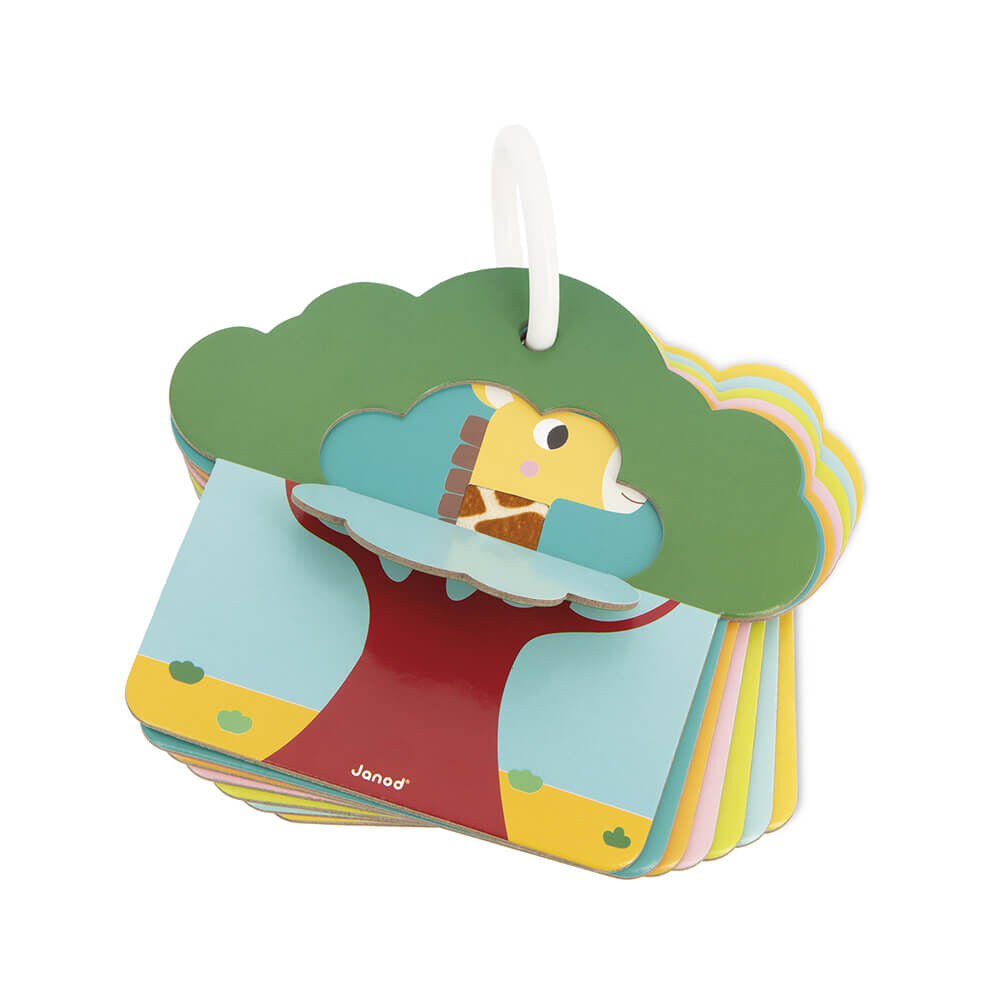 cartes-tactiles-savaneA.jpg