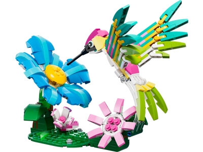 colibri.jpg