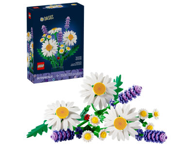 daisies.jpg