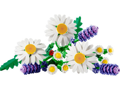 daisies_2.jpg
