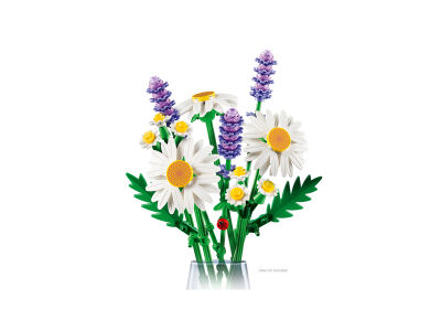 daisies_3.jpg