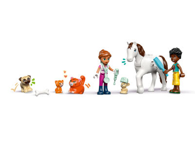 dieren_arts_clinic3.jpg