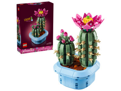 flowering_cactus.jpg