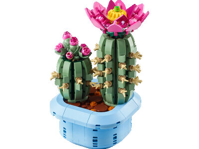 flowering_cactus_2.jpg