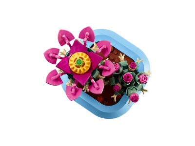 flowering_cactus_3.jpg