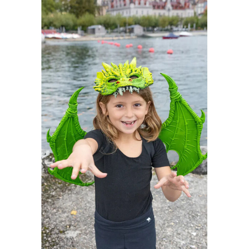 gp-12280-ailes-de-dragon-vert-(2).jpg