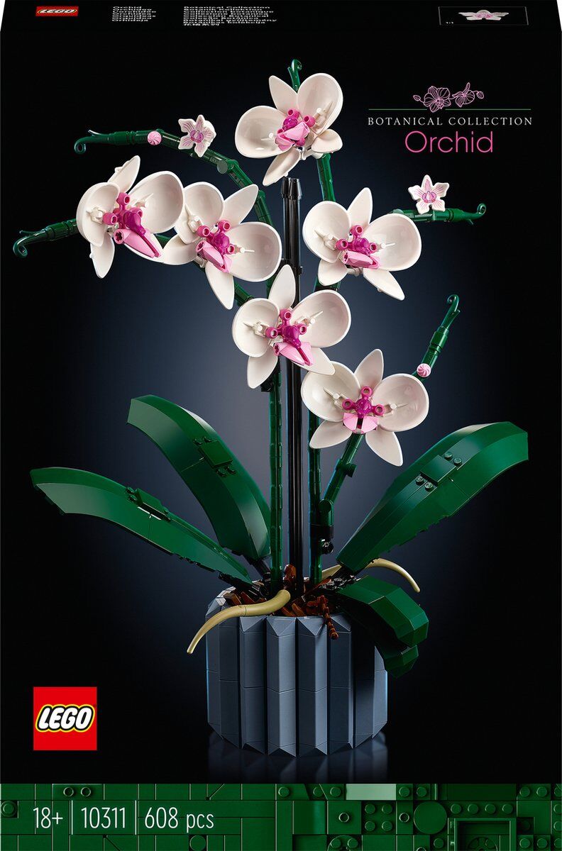 orchidee.jpg