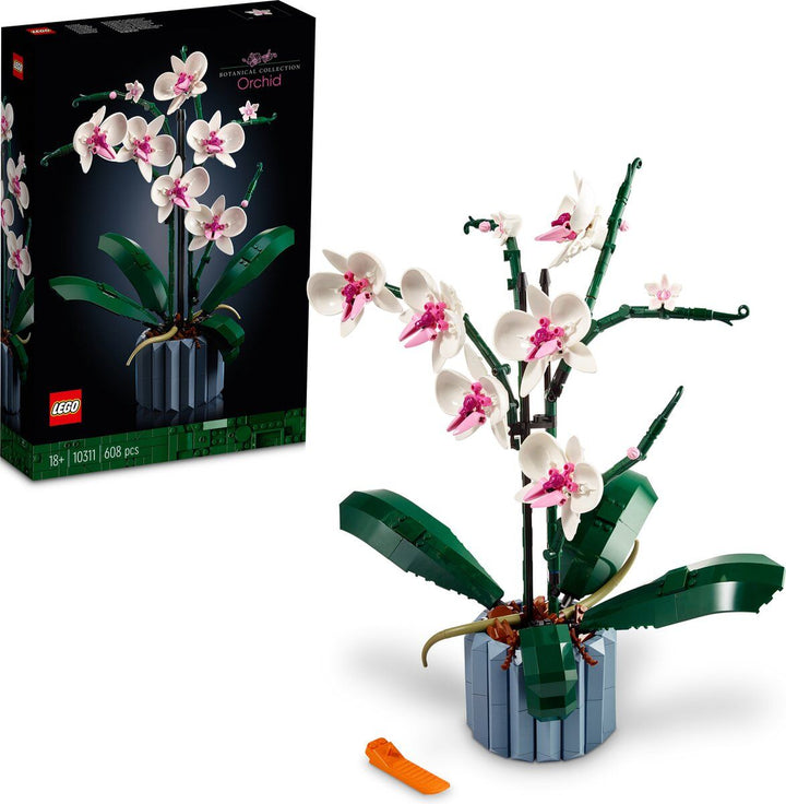 orchidee1.jpg