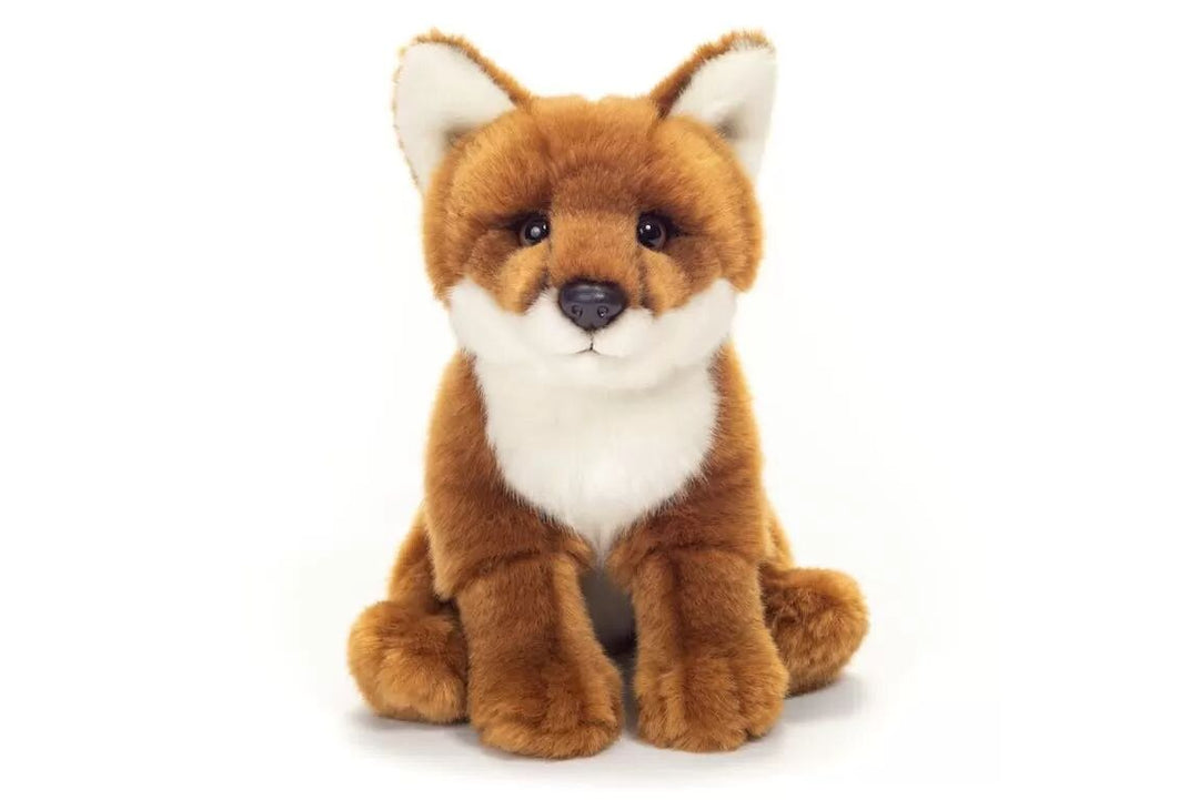 renard.ceb2j4.webp