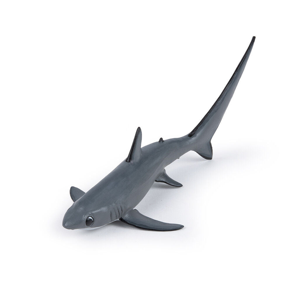 requin-renard.jpg