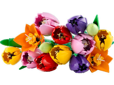 tulip_2.jpg