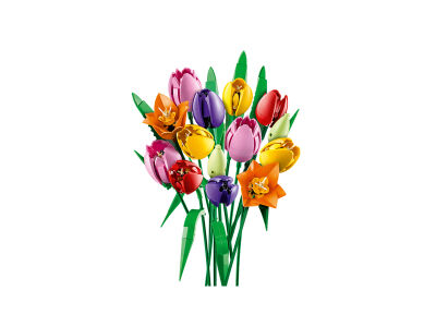 tulip_3.jpg