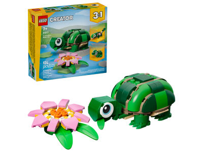 turtle__water_lily.jpg