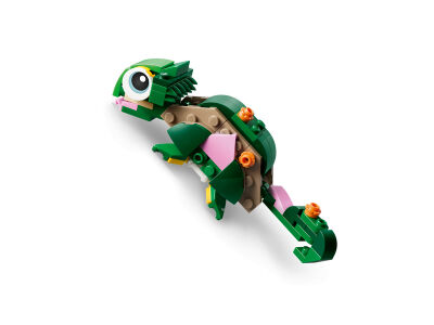 turtle__water_lily2.jpg