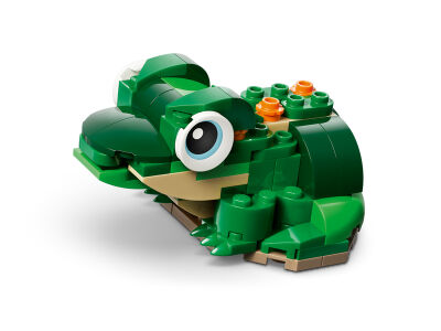 turtle__water_lily3.jpg